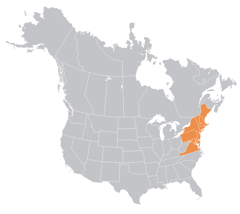 Northeast north america