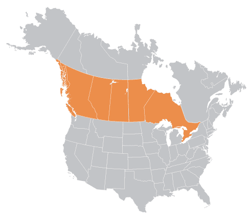 Aurora Material Solutions Ontario and Western Canada