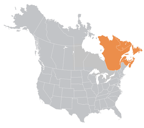 Aurora Material Solutions Quebec and Eastern Canada