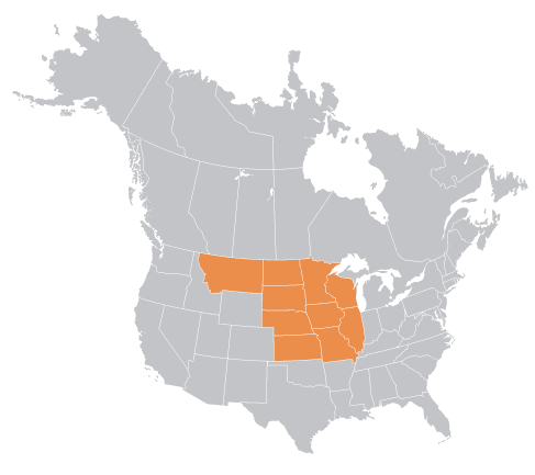 Aurora Material Solutions Sales Rep Central