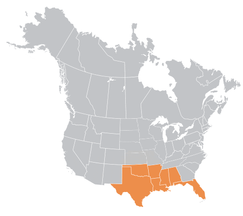 Aurora Material Solutions Sales Rep Southeast