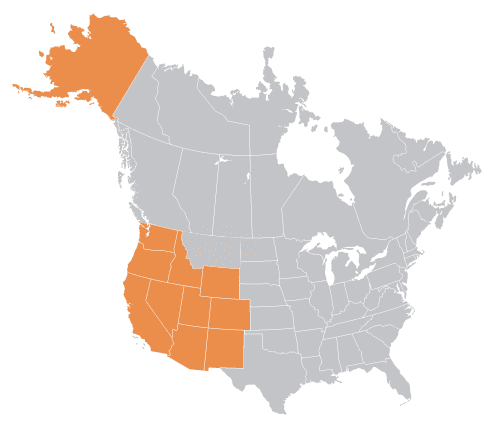 Aurora Material Solutions Sales Rep West